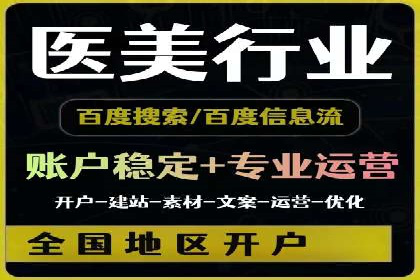 SEM公司案例研究：数据驱动营销策略