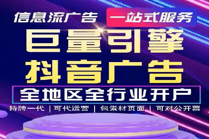SEM代理助力品牌：案例解析与优化策略